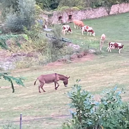Biscondau Kır Evi